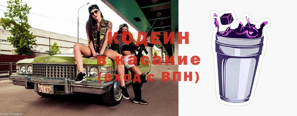 индика Надым