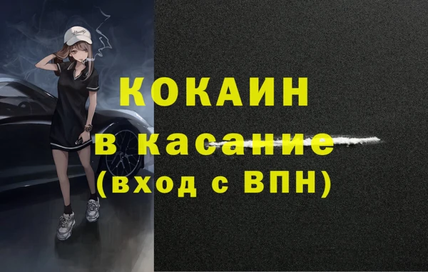 индика Надым