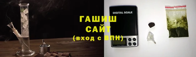 индика Надым