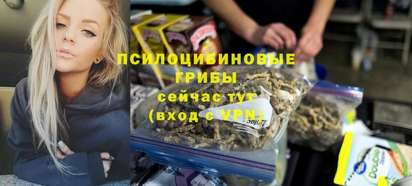 PSILOCYBIN Михайловка