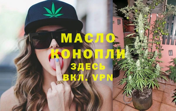 индика Надым