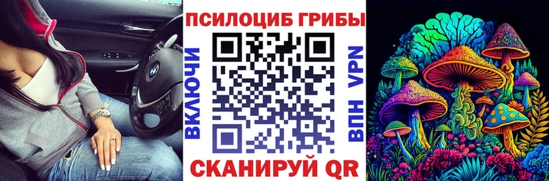 закладка  Опочка  Галлюциногенные грибы Psilocybine cubensis 